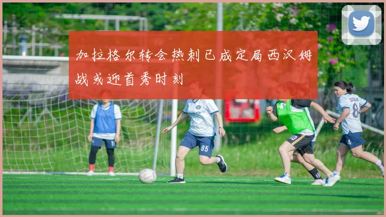 加拉格尔转会热刺已成定局西汉姆战或迎首秀时刻