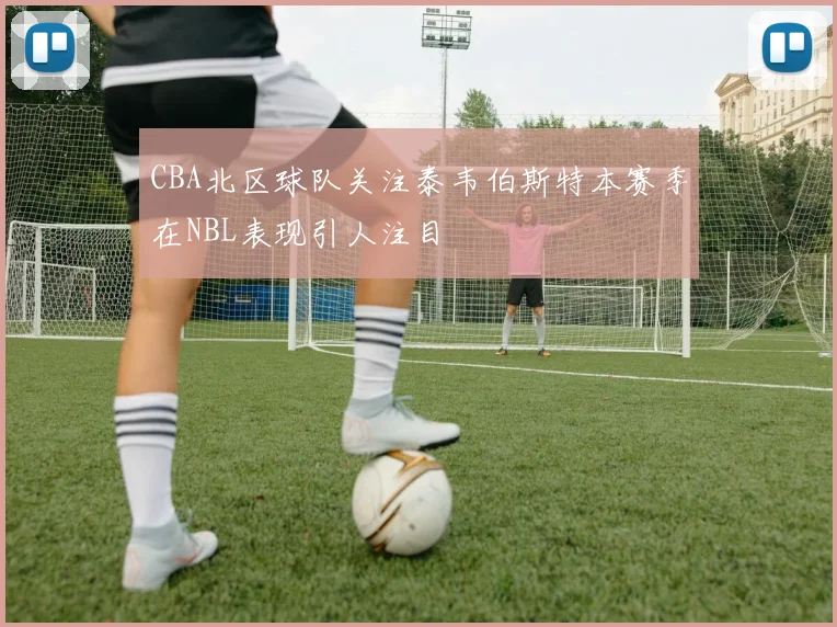 CBA北区球队关注泰韦伯斯特本赛季在NBL表现引人注目