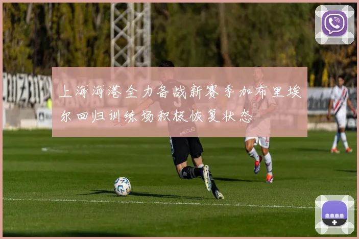 上海海港全力备战新赛季加布里埃尔回归训练场积极恢复状态