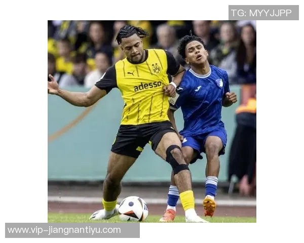 汉堡队关注多特19岁后卫卡巴尔已展开接触洽谈